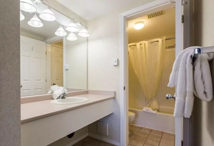 فندق على الطريق Oasis Inn