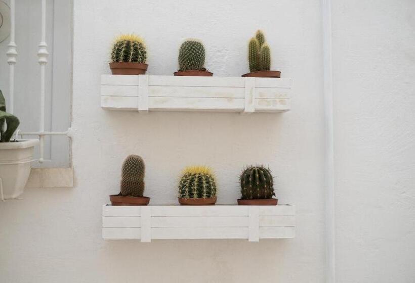 Bed and Breakfast Grotta Carlotta