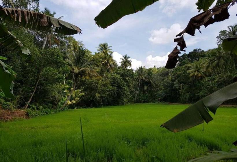 Hotel Bakery Family Guest House