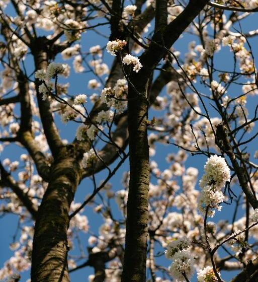 فندق Cascina Pajanòt