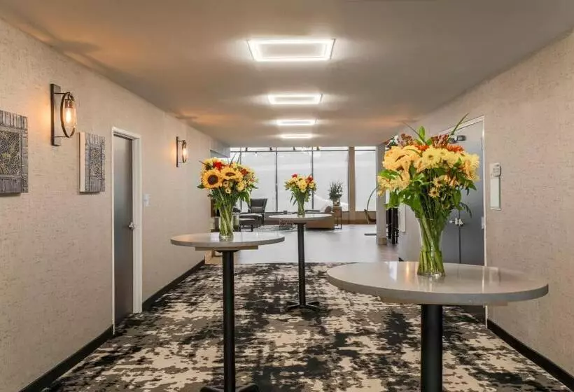 ホテル Four Points By Sheraton Amarillo Central