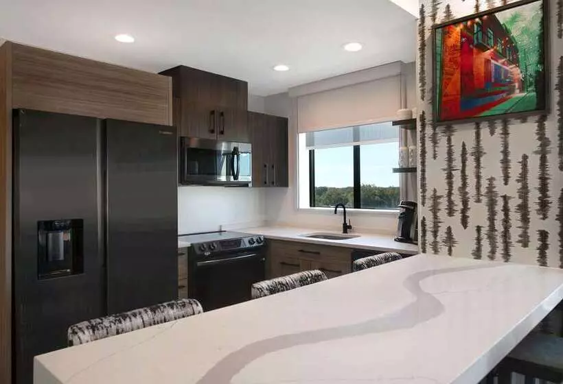 ホテル Home2 Suites By Hilton Anderson Downtown