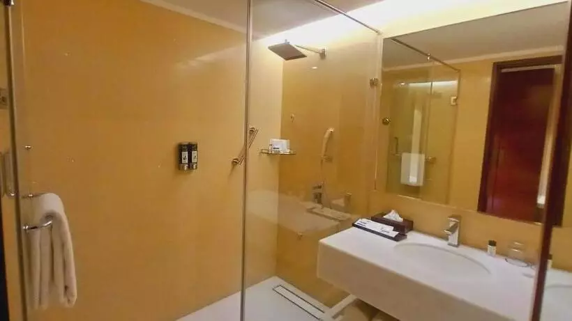 ホテル Manjeera Sarovar Premiere