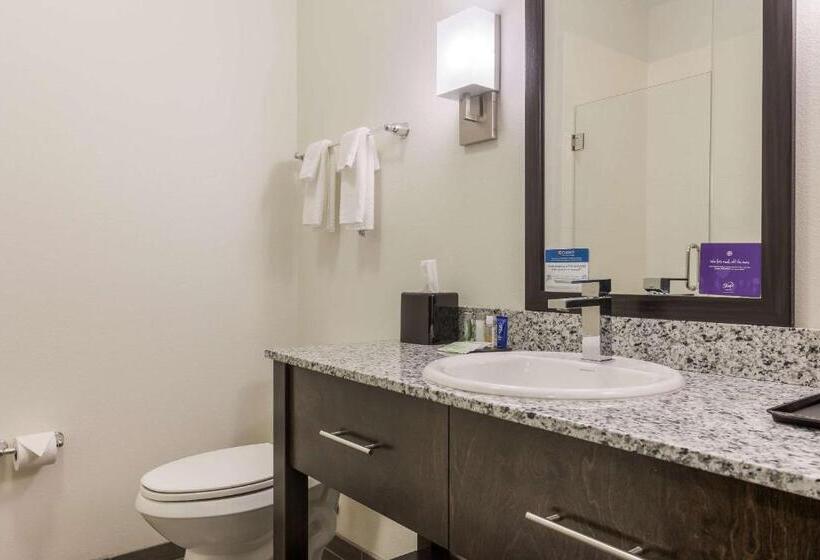 ホテル Sleep Inn & Suites Webb City