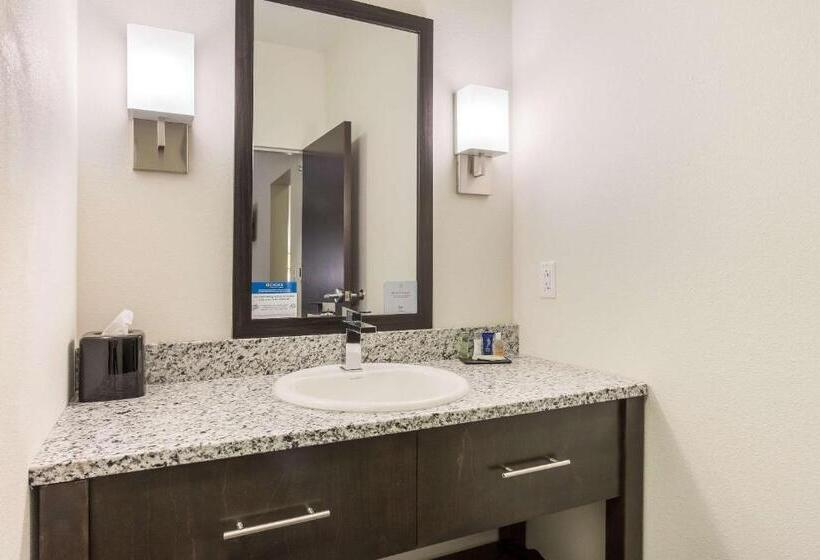 ホテル Sleep Inn & Suites Webb City