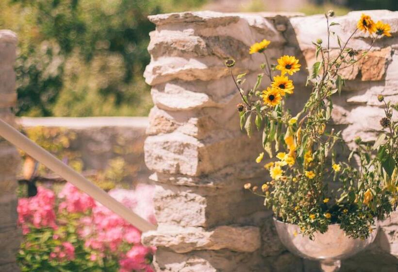 بنسيون Nefer, Haus