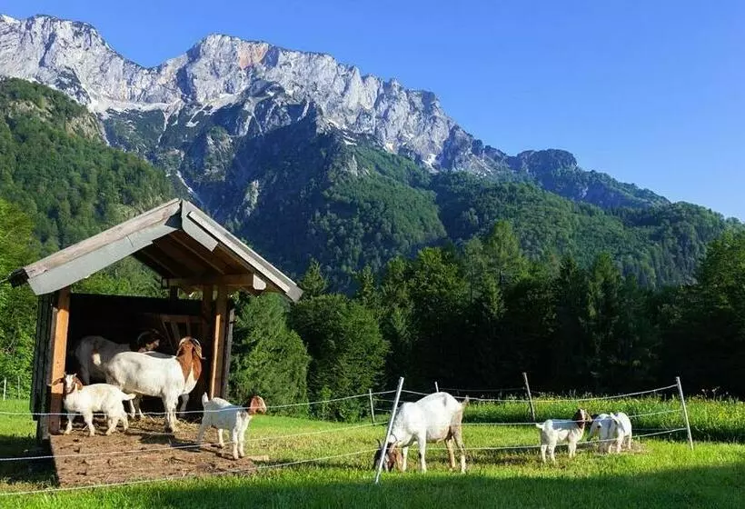 Hotelli Berghof Lippenlehen