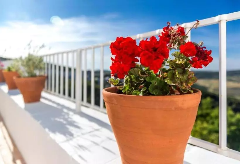 Hotelli Casa Boutique Encalada