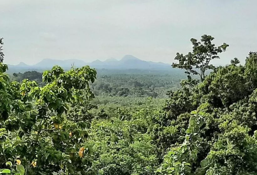 ペンション Kande Gedara Resort