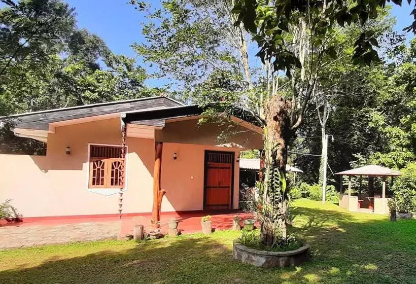 ペンション Kande Gedara Resort