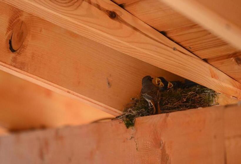 Pensione Nana’s Vendégház