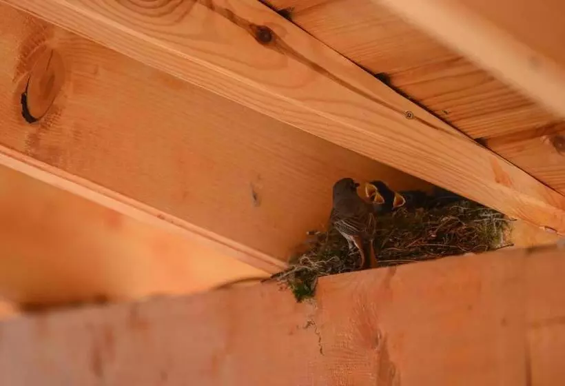 Majatalo Nana’s Vendégház