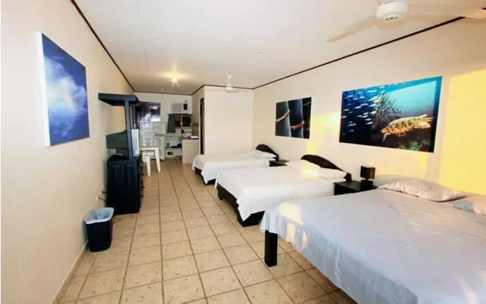 Hotelli Blue Palm