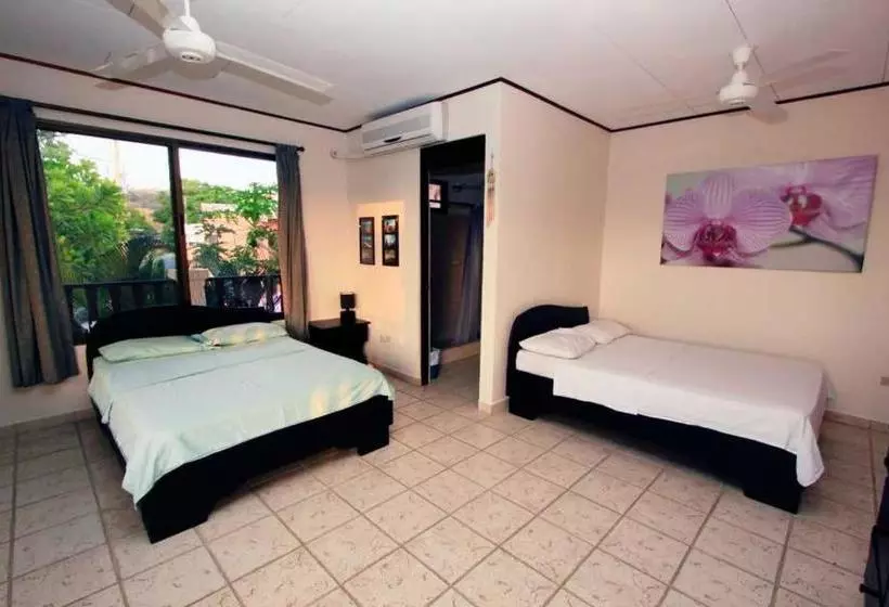 Hotelli Blue Palm