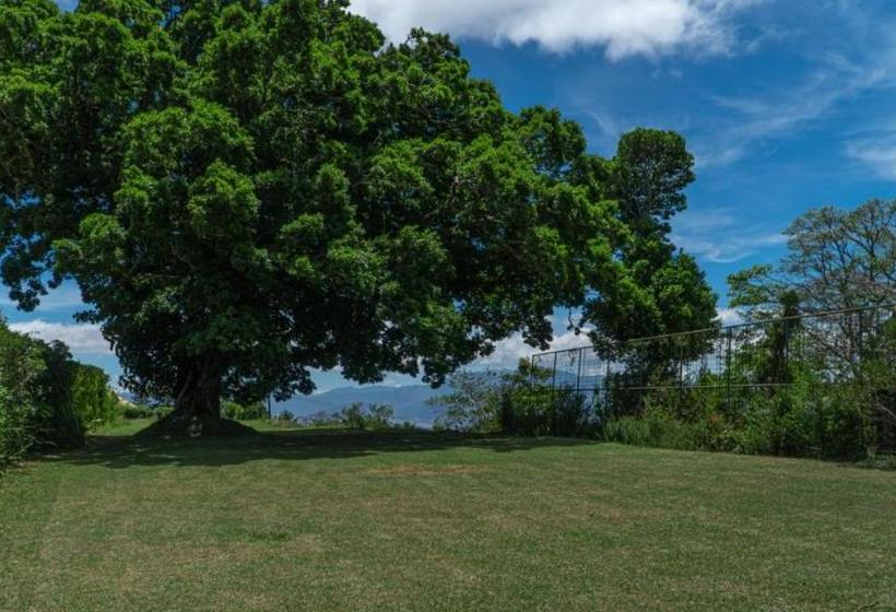 هتل Cypresal Mirador Y Restaurante