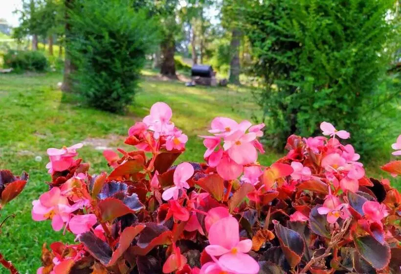 Retkeilymaja Posada Inguz