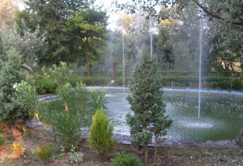 Отель Bei Park