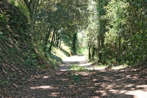 호텔 Casa Mas Gran