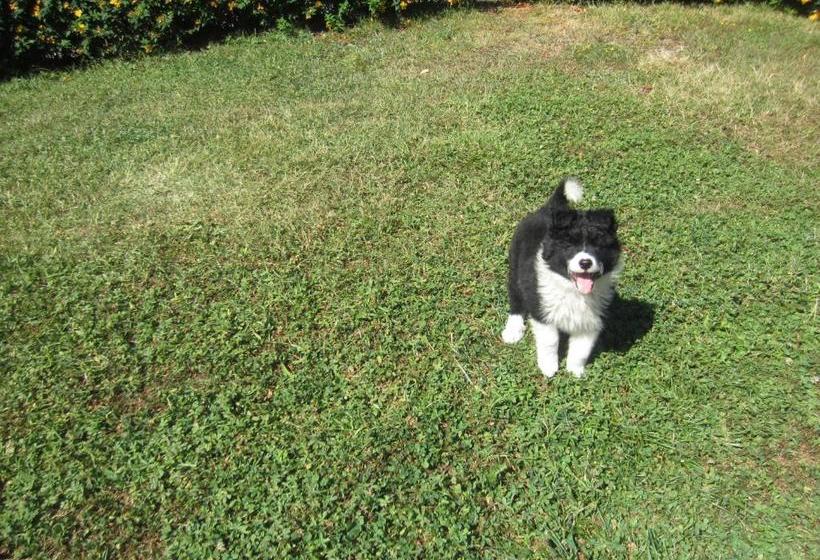 בית מלון כפרי Casona Malvasía   Adults Only