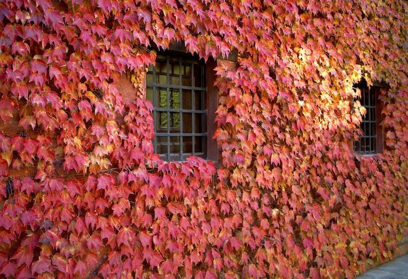 هتل Mas La Boella