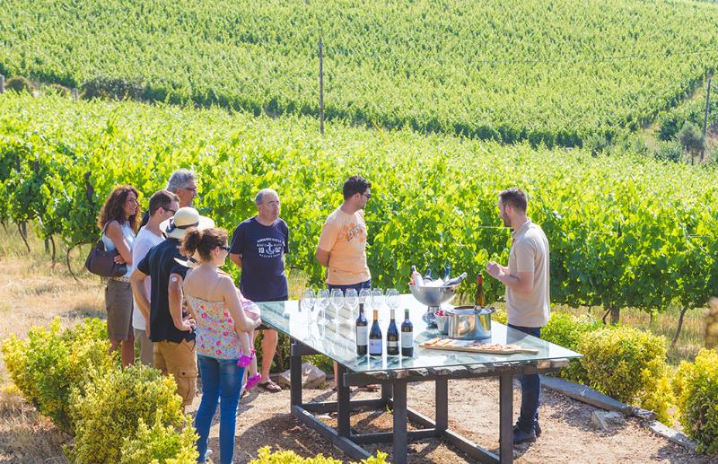 酒店 Quinta Da Barroca Douro Valley