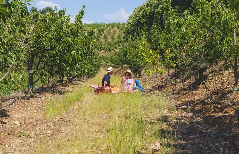 Отель Quinta Da Barroca Douro Valley