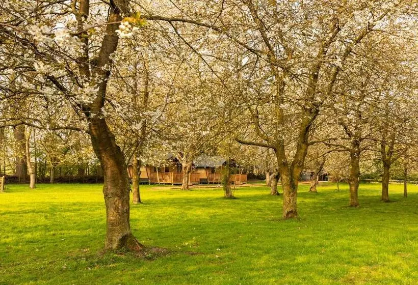 ベッドアンドブレックファースト Het Rentmeestershuis