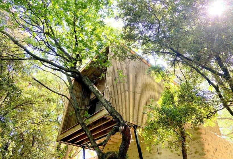 민박 Mas Del Ca Adult Only