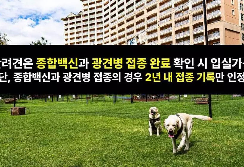 Sono Pet Clubs & Resorts Vivaldi Park