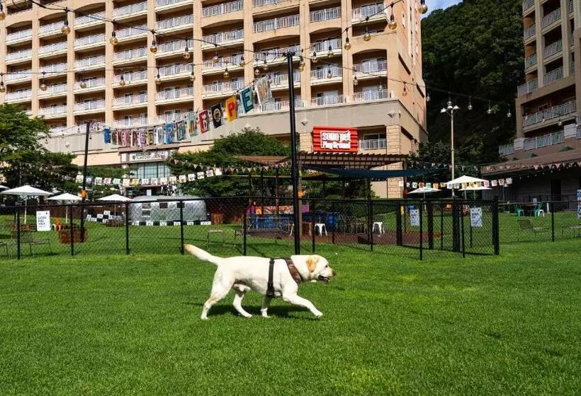 Sono Pet Clubs & Resorts Vivaldi Park
