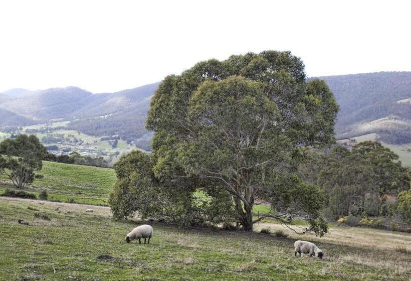 House On The Hill Bed And Breakfast