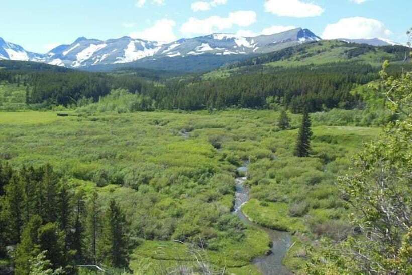 فندق على الطريق Dancing Bears Inn