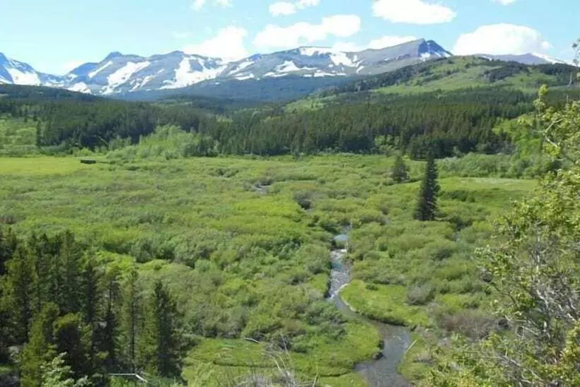 モーテル Dancing Bears Inn