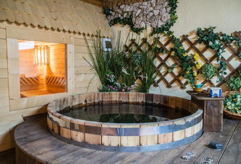 膳宿费 Casa Mayr Bazna