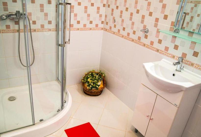 膳宿费 Casa Mayr Bazna