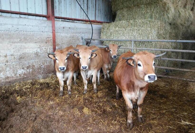 ベッドアンドブレックファースト Casteljosse Nature Calme Et Sérénité