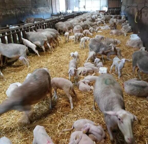 ベッドアンドブレックファースト Casteljosse Nature Calme Et Sérénité