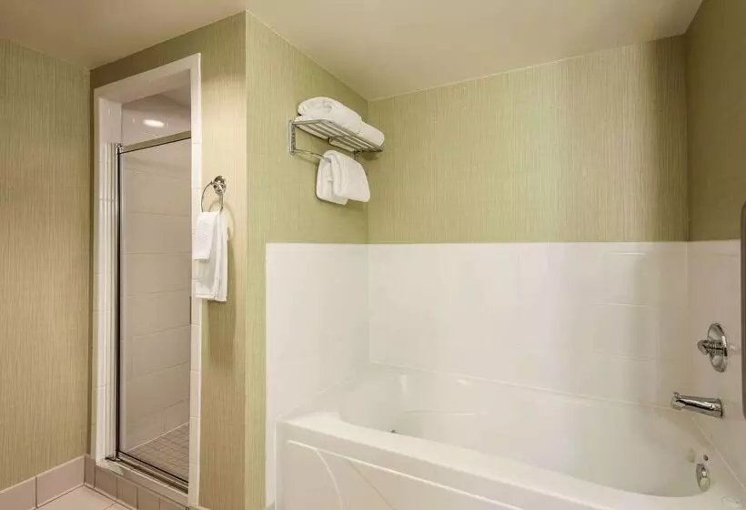 호텔 Hilton Garden Inn Chicago/midway Airport