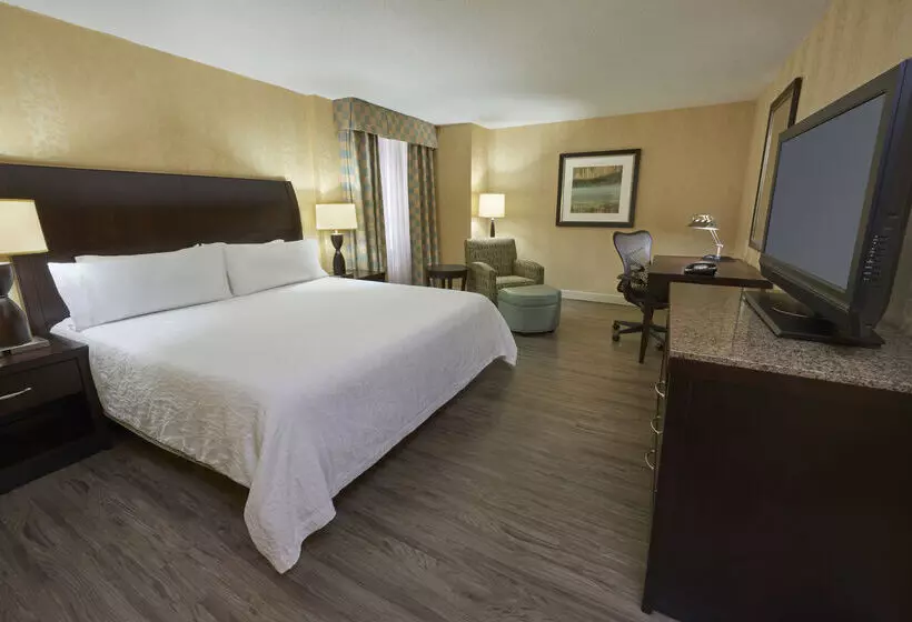 בית מלון כפרי Revery Toronto Downtown, Curio Collection By Hilton