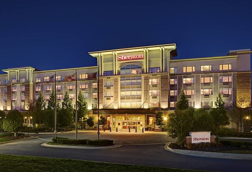 בית מלון כפרי Sheraton Rockville