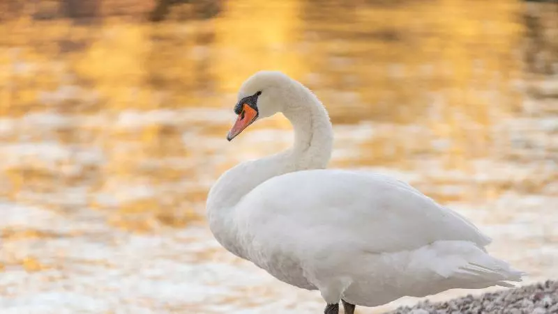 호텔 Val Di Sogno  Adults Only