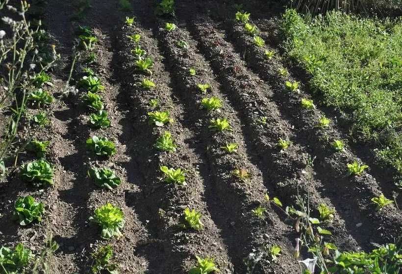 Hotelli Oliva Azzurra