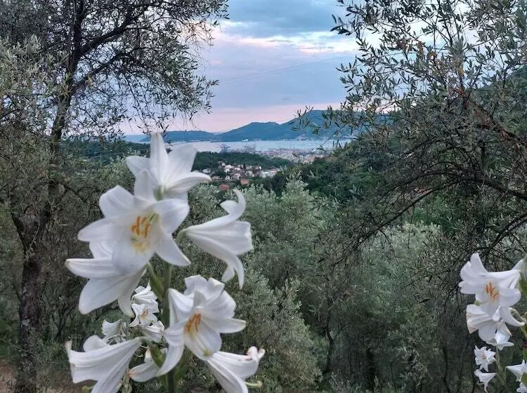 Hotelli Oliva Azzurra