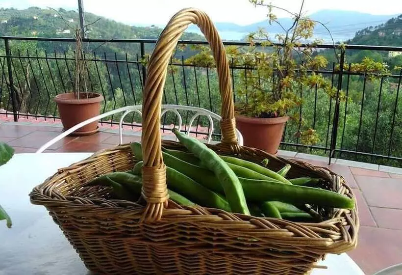 Hotelli Oliva Azzurra