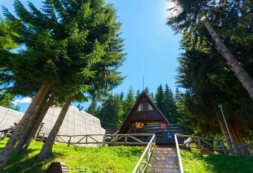 منتجع Romantica Forest Guest House