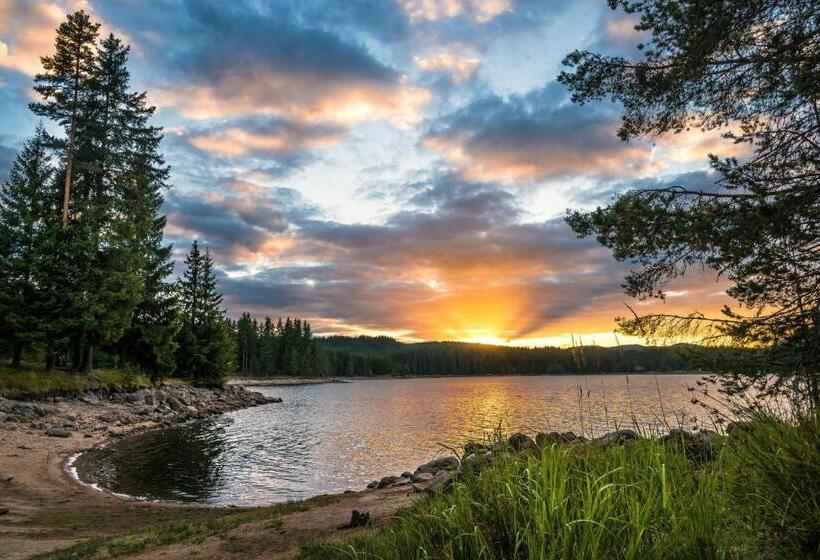 منتجع Romantica Forest Guest House