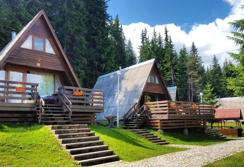 منتجع Romantica Forest Guest House