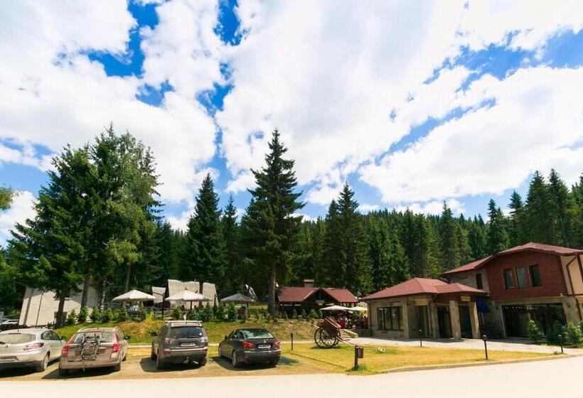 منتجع Romantica Forest Guest House