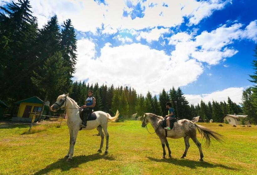 منتجع Romantica Forest Guest House