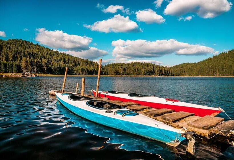 منتجع Romantica Forest Guest House